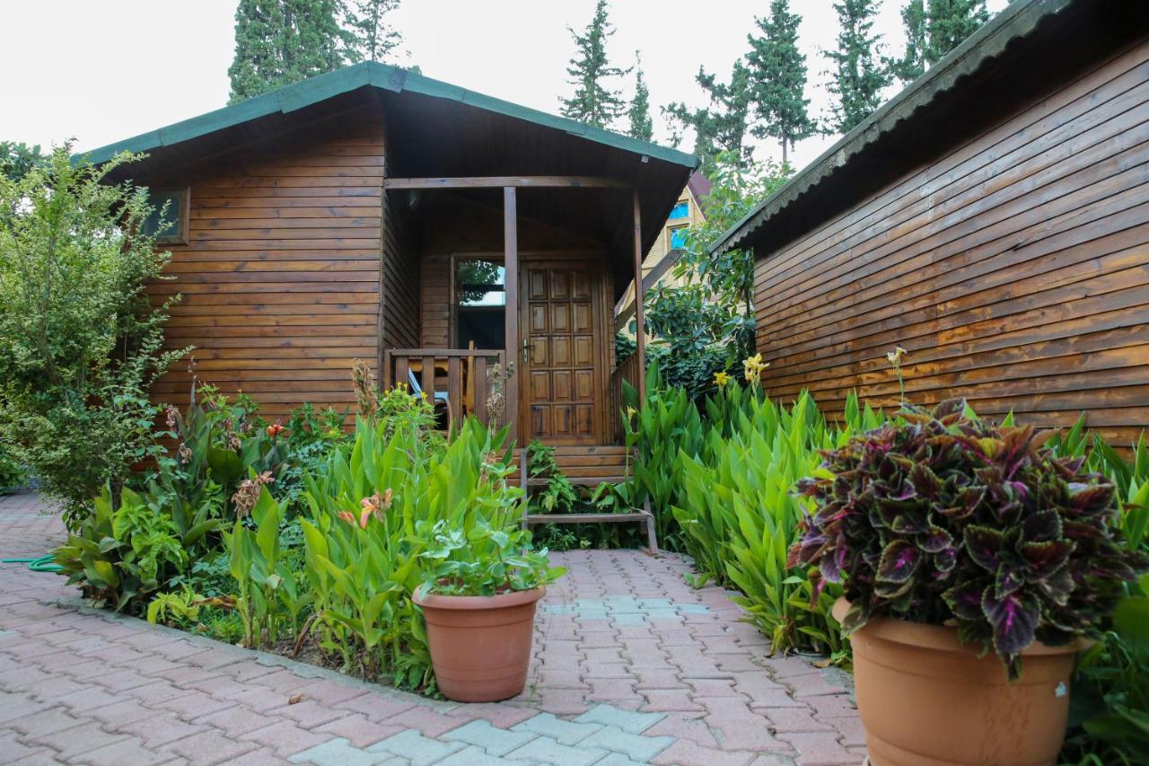 Duran Bungalow Adrasan Eksteriør billede